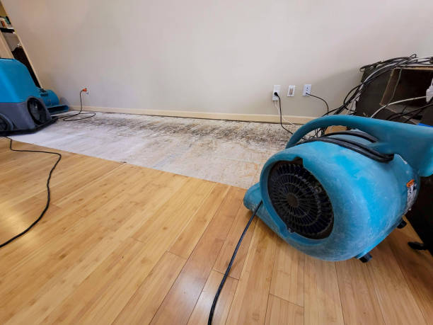 Professional Structural Drying technician working in Layton, UT